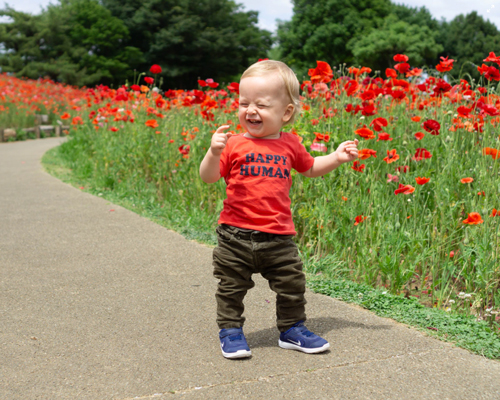 Young child laughing on walk way surrounded by red flowers. 